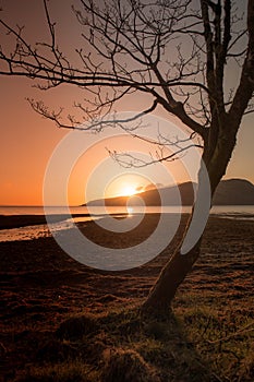 Scotland Landscapes Isle of Arran sunset beaches