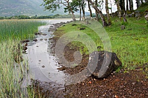 Scotland, riverside loch awe