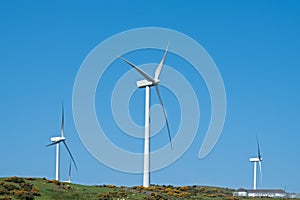 Scotland\'s Static Wind Turbines in summer at Ardrossan wind farm on the west coast of Scotland in June