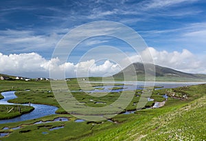 Scotland saltings