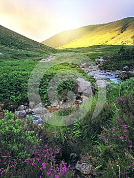 Scotland Scotish Isle of Arran Mountain Landscape Valley Glen Rosa