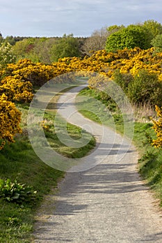 Scotstown Moor Path