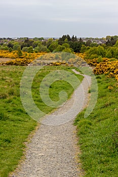 Scotstown Moor Path in Aberdeen, Scotland