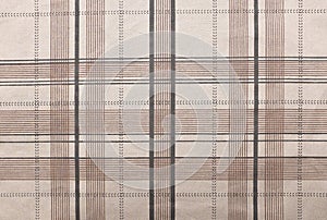 Scott on fabric pattern and background.