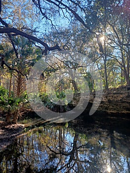 Scott Springs Park ocala Florida