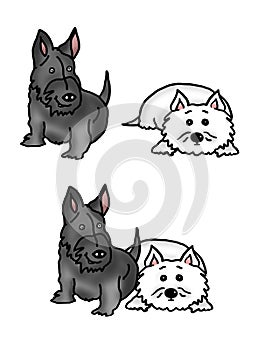 Scottie dog and West Highland Terrier