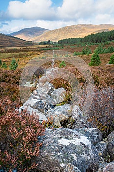 Scottish Cairngorms Old Stone Wall