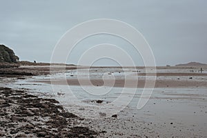 Scottish coast against gloomy cloudy sky at low tide