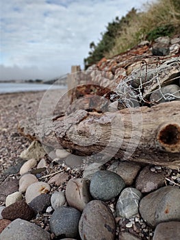 Scottish Coastline Montrose basin