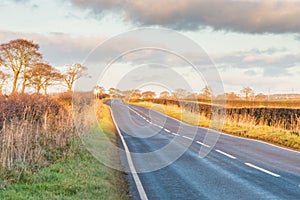 Scottish Country Road in Autumn