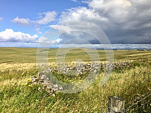 Scottish countryside