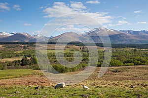 Scottish countryside and snow topped mountains Ben Nevis Scotland UK in the Grampians Lochaber Highlands