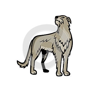 Scottish Deerhound Dog Standing Mascot