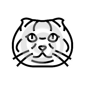 scottish fold cat cute pet line icon vector illustration