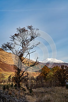 Scottish highlands, Argyll