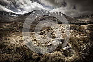 Scottish Highlands Landscape