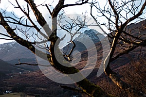 Scottish Highlands, View of a Munro through Trees at Sunset photo