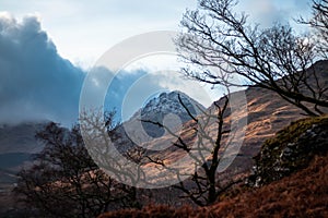 Scottish Highlands, View of a Munro through Trees at Sunset photo