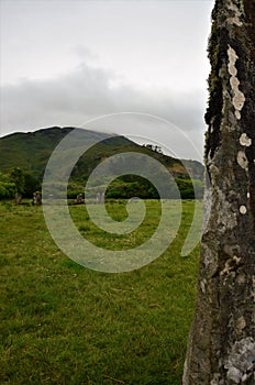 Scottish Landscapes - Loch Buie Standing Stones