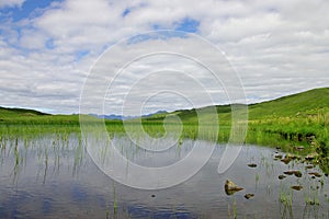 A scottish marsh