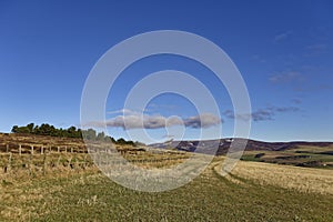 A Scottish minor Road passing through the Fields of the Hill Farms in the rolling Countryside of Glen Lethnot.