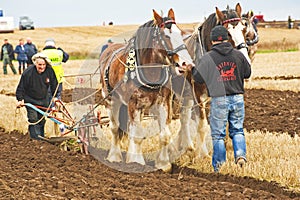 Scottish National Ploughing Championship.