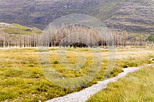 Scottish river trough countryside