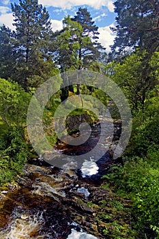 On a scottish riverbank