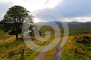 Scottish road trough countryside