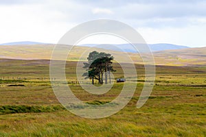 Scottish road trough countryside