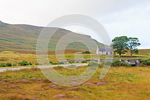 Scottish road trough countryside