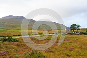 Scottish road trough countryside