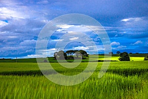 Scottish rural landscape. Aberdeenshire, Scotland, UK