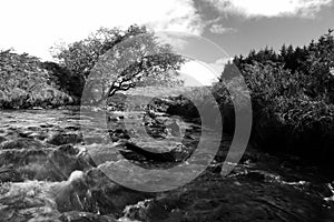 A Scottish Stream full after Rain photo