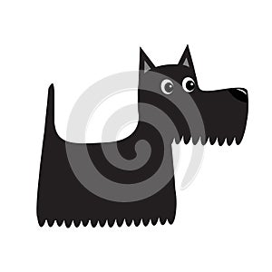 Scottish terrier black dog. Scottie puppy. Cute cartoon character. Pet animal collection. Adopt concept. Flat design. White backgr