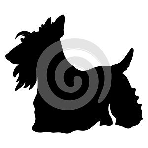 Scottish terrier dog heartbeat EPS vector file
