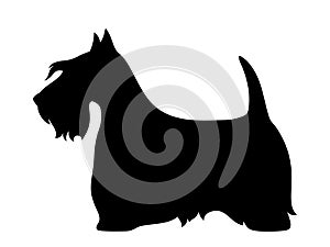 Scottish terrier dog. Vector black silhouette.
