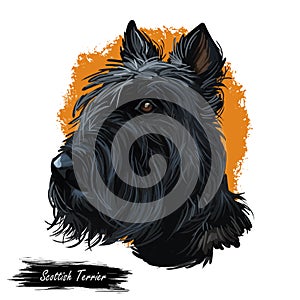 Scottish Terrier domestic animal originated from Britain Scolnad doggy digital art illustration . Doggy hand drawn clip photo