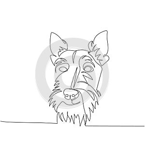 Scottish Terrier, hunting dog, dog breed, companion dog one line art. Continuous line drawing of friend, dog, doggy