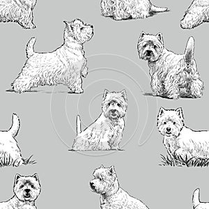 Scottish terrier pattern