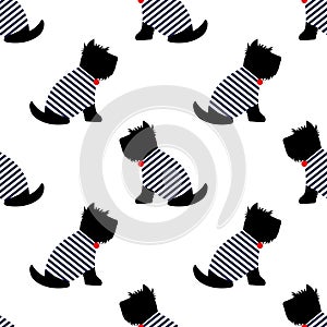 Scottish terrier in a sailor t-shirt seamless pattern. Sitting dogs on white background illustration.