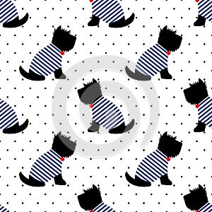 Scottish terrier in a sailor t-shirt seamless pattern. Sitting dogs on white polka dots background.