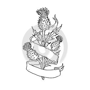 Scottish Thistle With Ribbon Drawing Black and White