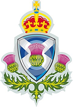 Scottish thistle .Symbol of Scotland