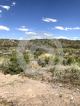 Scottsdale Arizona desert blue skies landscape