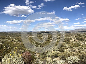 Scottsdale Arizona desert blue skies landscape