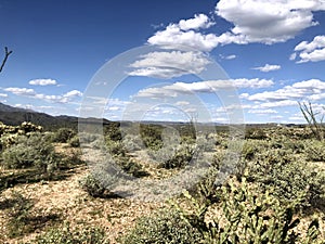 Scottsdale Arizona desert blue skies landscape