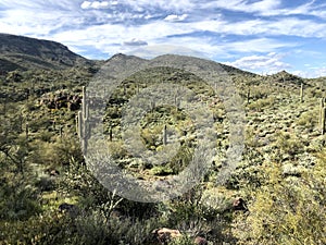 Scottsdale Arizona desert blue skies landscape