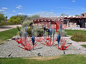 Scottsdale, Arizona- Taliesin West: Chihuly Installation `Black Saguaros and Scarlet Icicles`