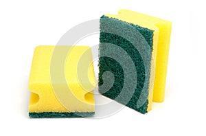 Scour sponge